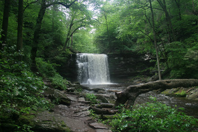 Ricketts Glen, 2009