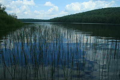 Belmont Lake, 2009
