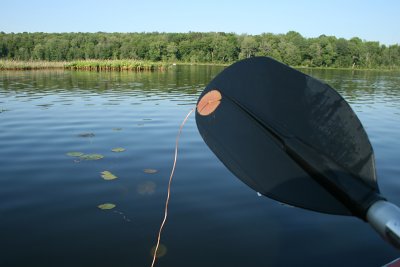 White Oak Pond, Aldenville, 2010