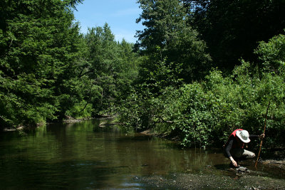 Middle Branch Dyberry Creek, 2010