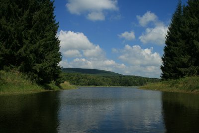 Belmont Lake, 2008