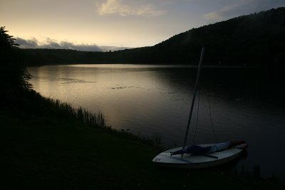 Starlight, 2008