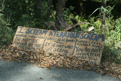 homemade sign, Milanville, 2010