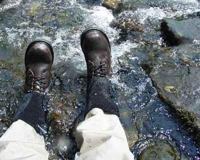 West Branch Dyberry Creek, 2002