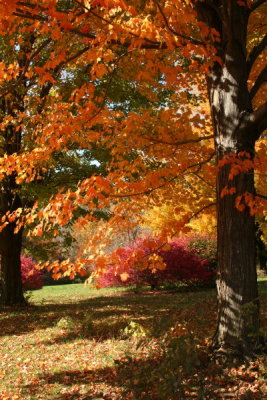 New England Autumn 2008