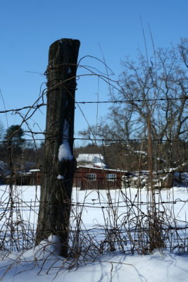 Winter Scenes 2008-2009