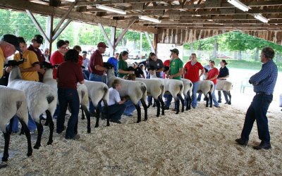 Massachusetts Sheep & Woolcraft Fair 2010