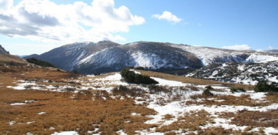 Above the Tree Line