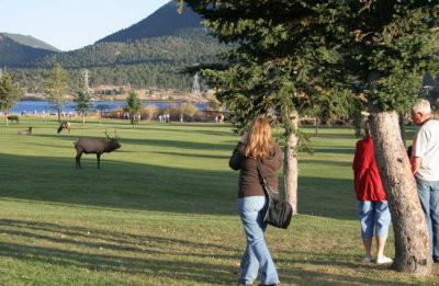 Estes Park