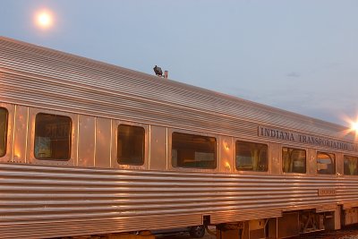 CRW_7711.JPG