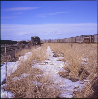 rail004.jpg