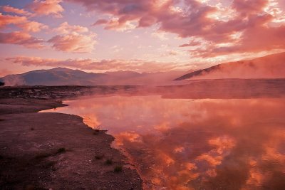 Canary Spring, Mammoth Hot Spring, Yellowstone