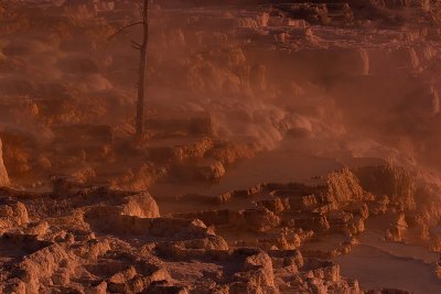 Canary Spring, Mammoth Hot Spring, Yellowstone