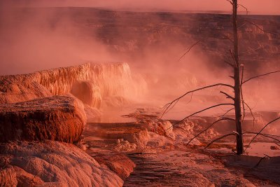 Canary Spring, Mammoth Hot Spring, Yellowstone