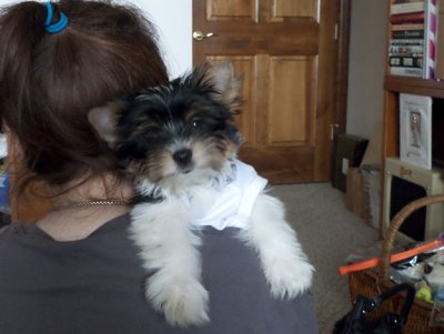 I just love to sit on my Mummy's shoulder!