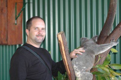 Self making friends with Koala  Daintree Forest Sanctuary