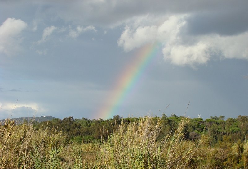 Countryside Rainbow - Ludo, Faro