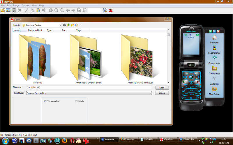 Screenshot: Windows Vista