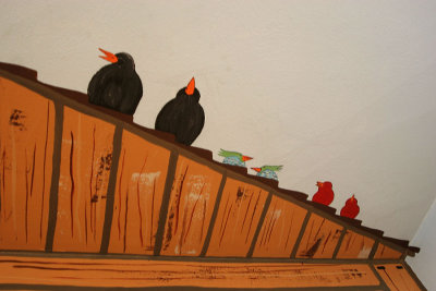 birds