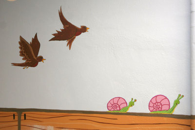birds