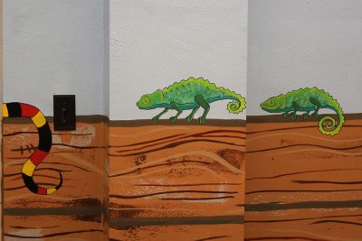 geckos