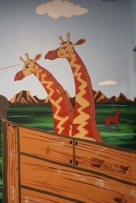 giraffes