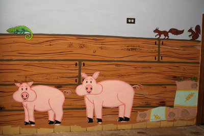 pigs