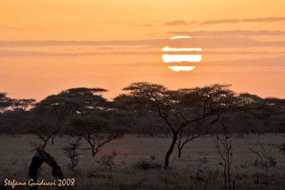 Alba dall' Ikoma Bush Camp