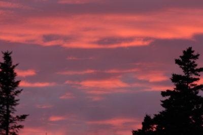 IMG_5578.JPG