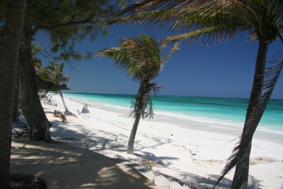 IMG_8896.JPG