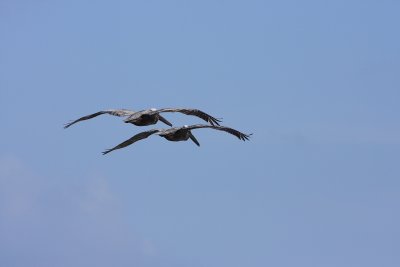 IMG_9573.JPG