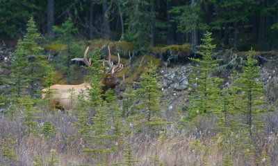 L'Ouest Canadien/Western Canada