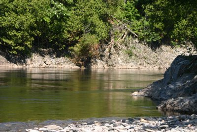 146_4625.JPG