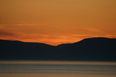 137_3732.JPG