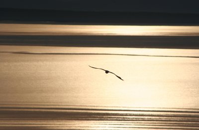 IMG_4832.JPG