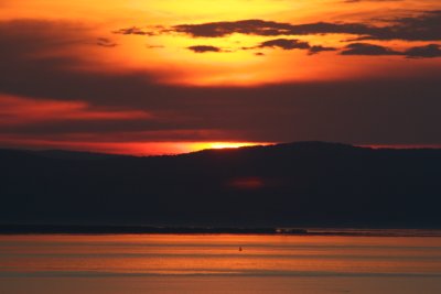 IMG_4935.JPG