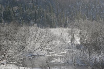 IMG_6714.JPG