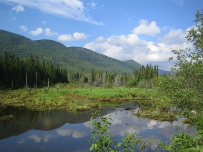 IMG_0896.JPG