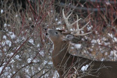 IMG_6970.JPG