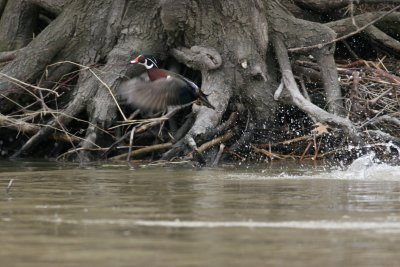 IMG_7261.JPG