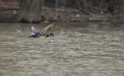 IMG_7282_1.JPG