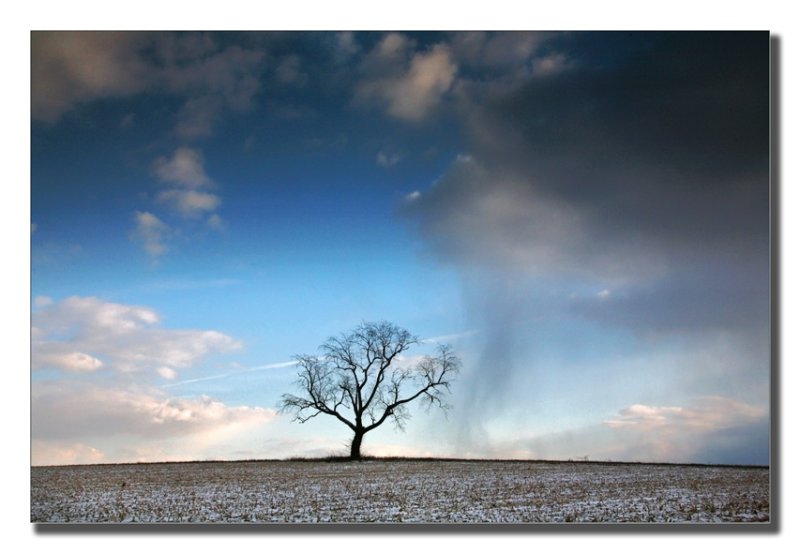 Snow shower approaching.
