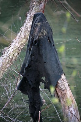 Dark Spirit Along the Stream.