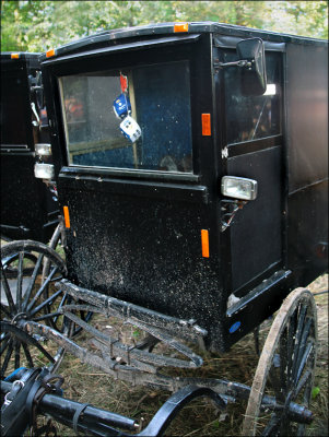 Amish Buggy with Fuzzy Dice.