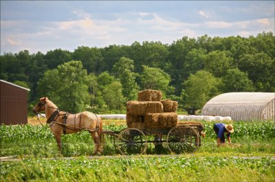 Making Hay while the sun shines.