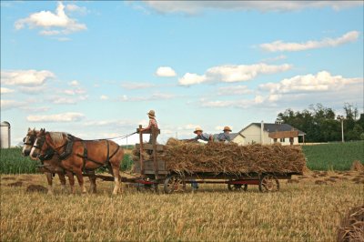 Hay.