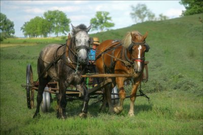 More making hay.