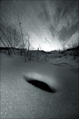 Hole in the snow.