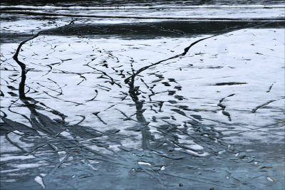 On frozen pond.