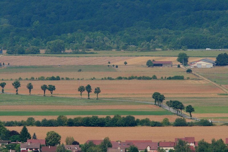 Jura countryside 1